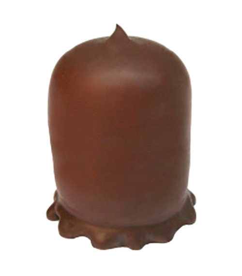 Chocozoenen Puur Chocolade